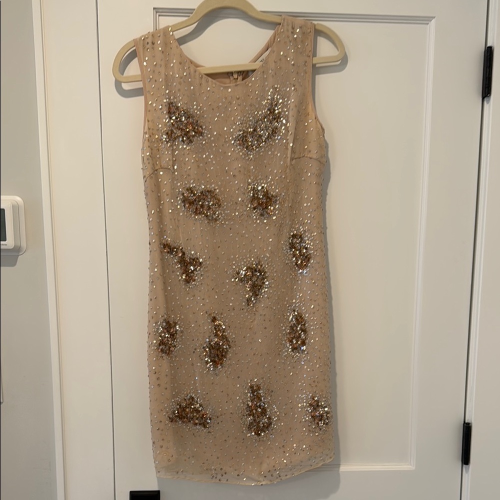 Badgli Mischka Elegant Sequin Embellished Dress